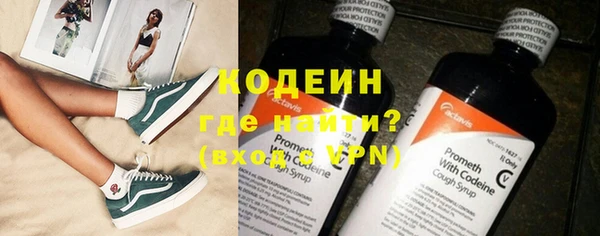 мдпв Инта