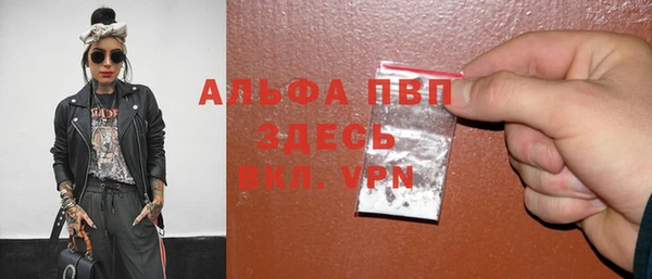2c-b Инсар