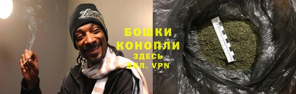 2c-b Инсар