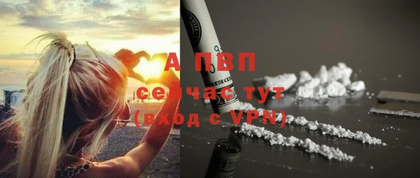 мдпв Инта