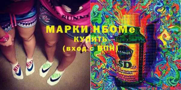 мдпв Инта