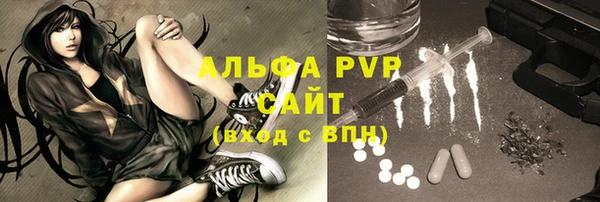 2c-b Инсар