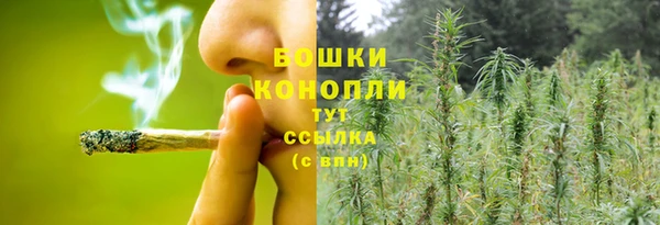 мдпв Инта
